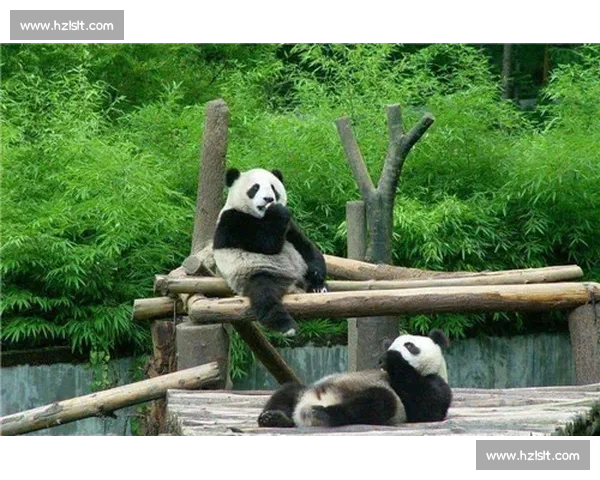 墨西哥为 35 岁大熊猫 “欣欣” 庆生 海外最长寿 “友谊大使” 迎百岁华诞